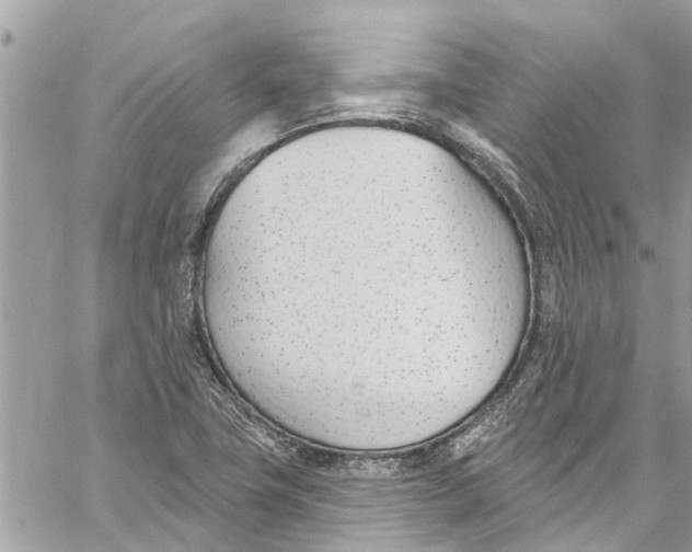 X0000060271411200511181408