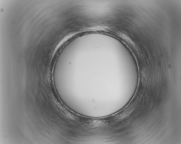 X0000060271412200511181408