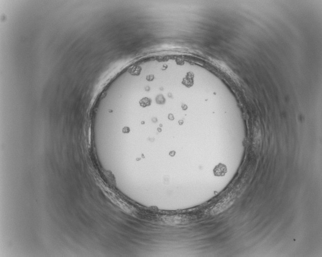 X0000060271413200511181408