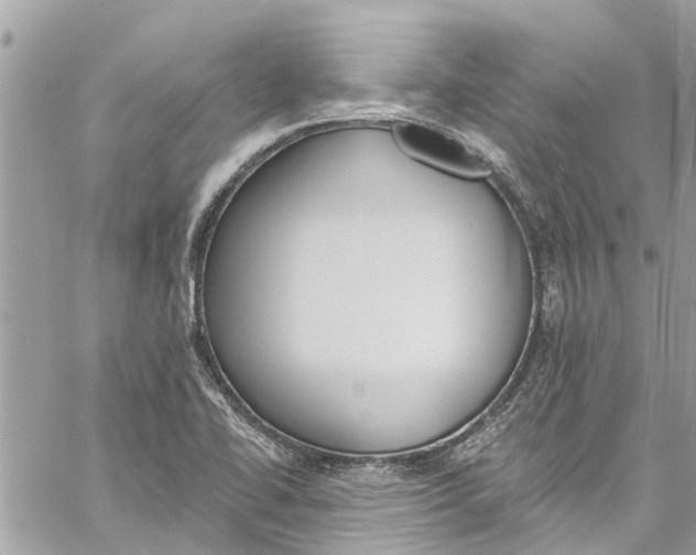 X0000060271414200511181408