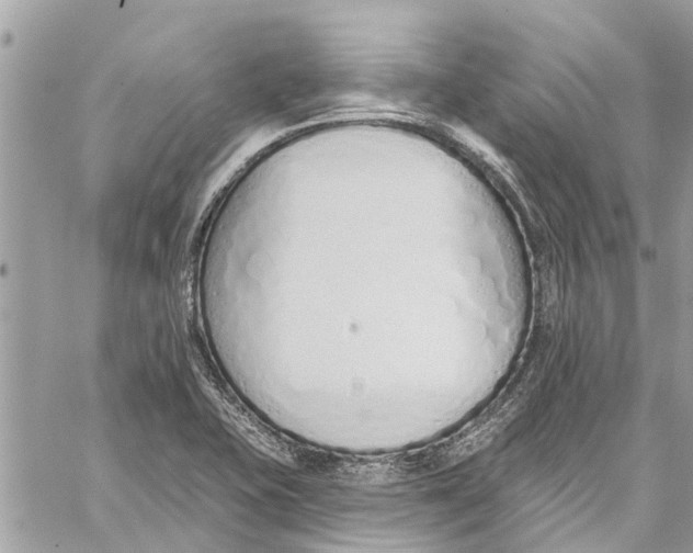 X0000060271415200511181408