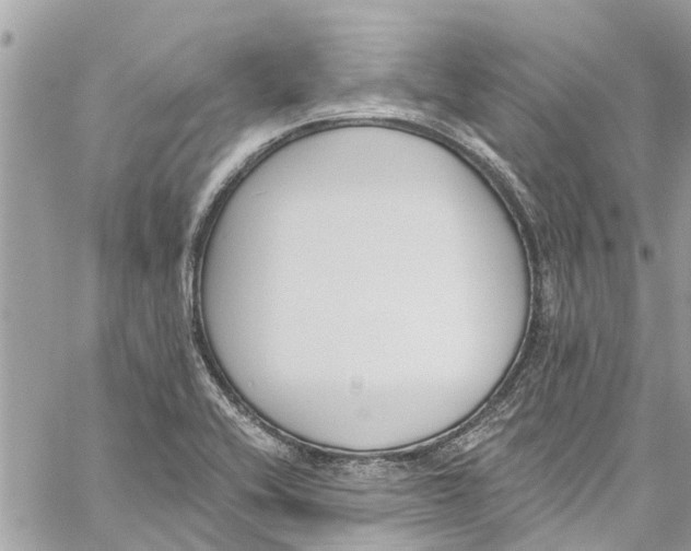 X0000060271416200511181408