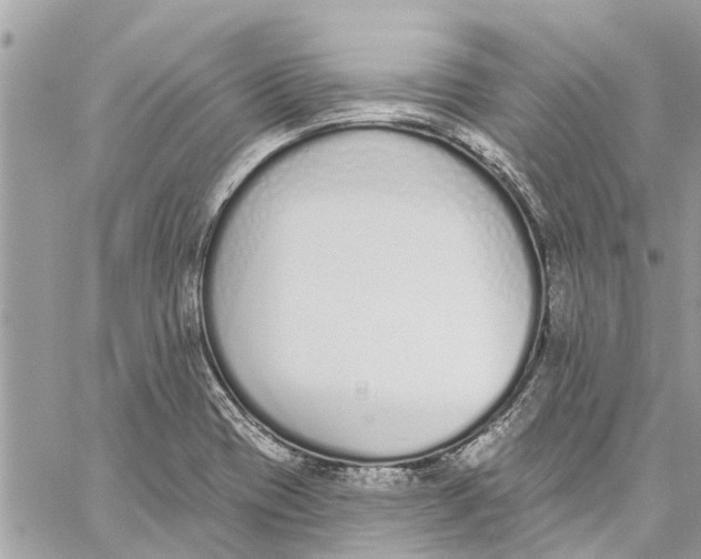 X0000060271417200511181408