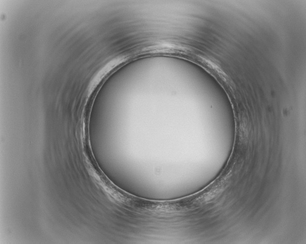 X0000060271418200511181408