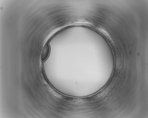 X0000060271420200511181408