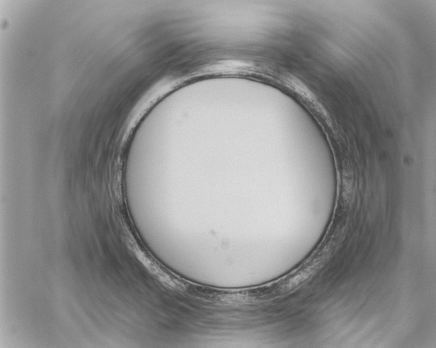 X0000060271421200511181408