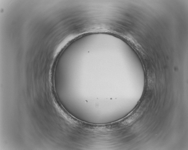 X0000060271422200511181408