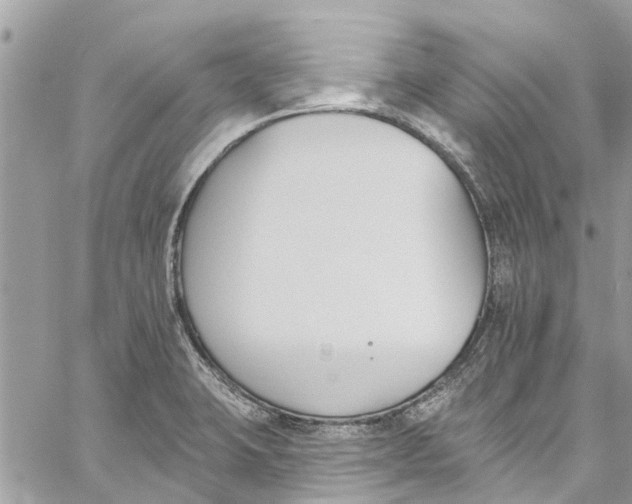 X0000060271423200511181408