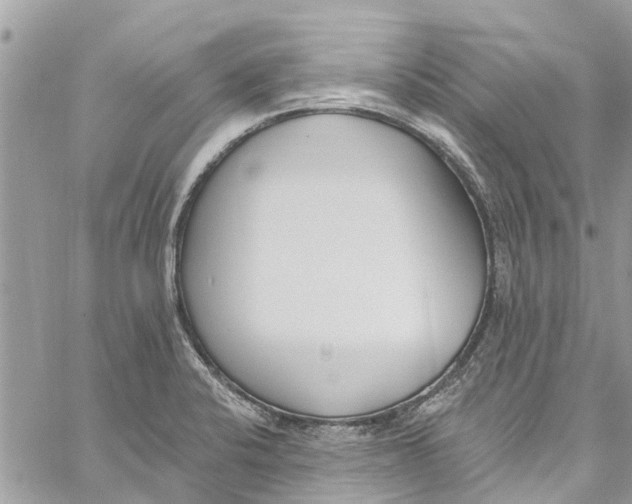 X0000060271424200511181408