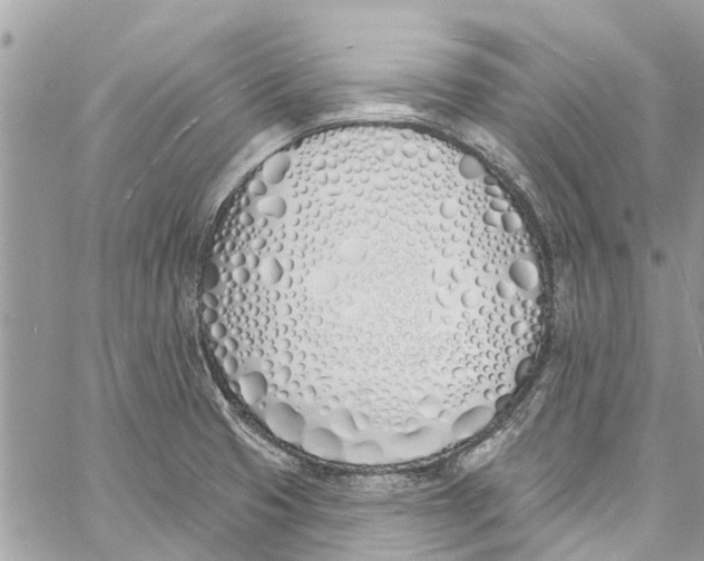 X0000060271425200511181408