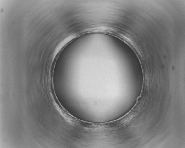 X0000060271426200511181408