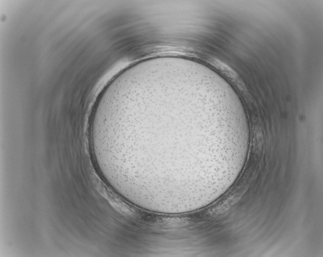 X0000060271427200511181408