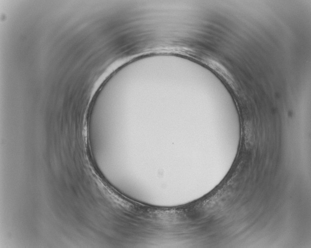 X0000060271428200511181408