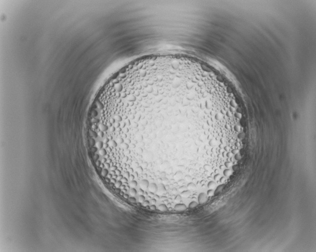 X0000060271429200511181408