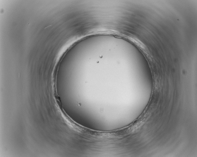 X0000060271430200511181408