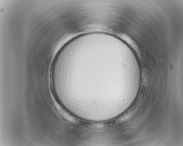 X0000060271431200511181408