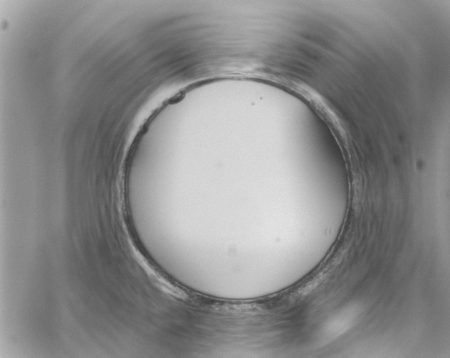 X0000060271432200511181408