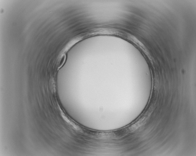 X0000060271433200511181408