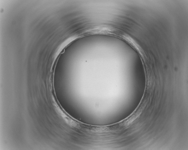 X0000060271434200511181408