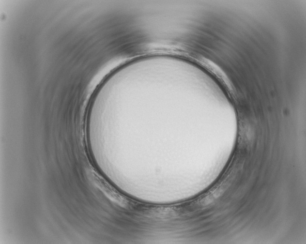 X0000060271435200511181408