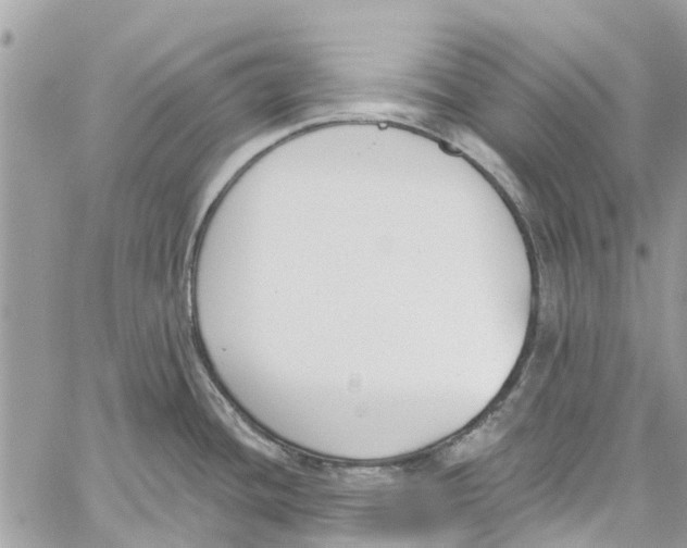 X0000060271436200511181408