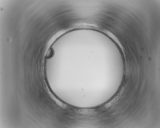 X0000060271437200511181408