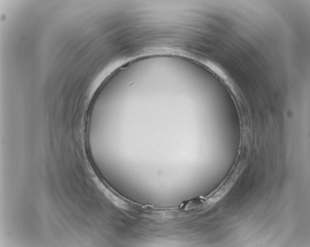 X0000060271438200511181408