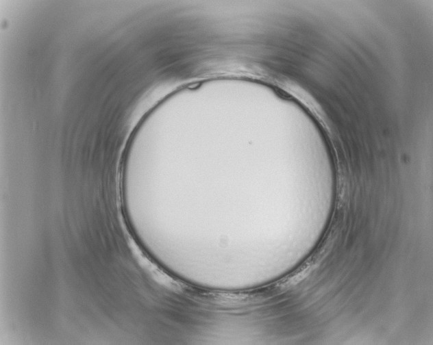 X0000060271439200511181408