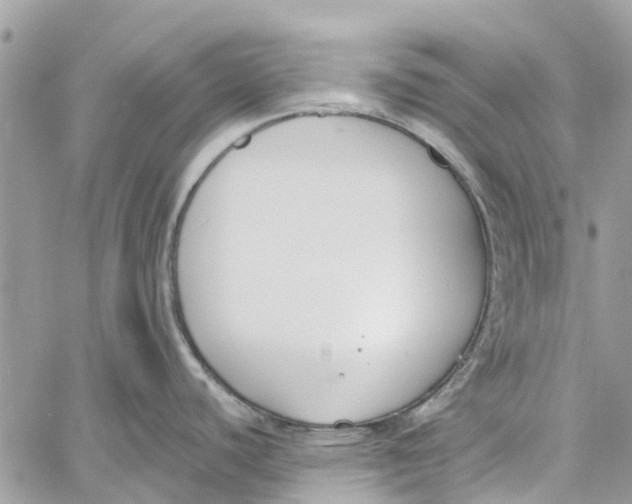 X0000060271440200511181408