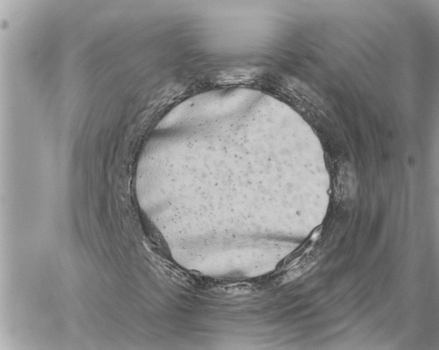 X0000060271441200511181407