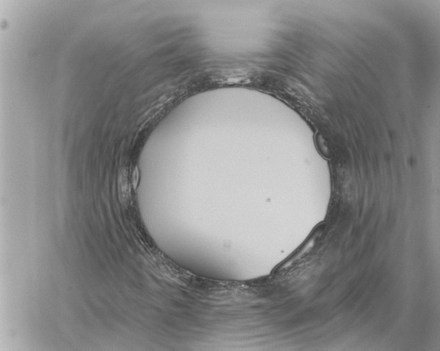 X0000060271442200511181407