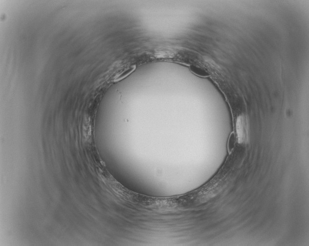 X0000060271443200511181407