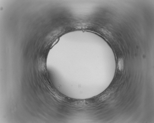 X0000060271444200511181407