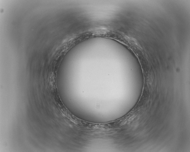 X0000060271445200511181407