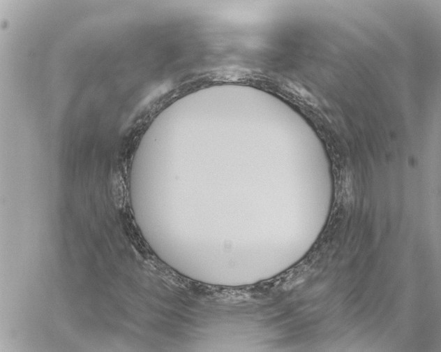 X0000060271446200511181407