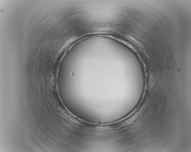 X0000060271449200511181407