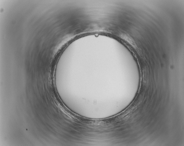 X0000060271452200511181407