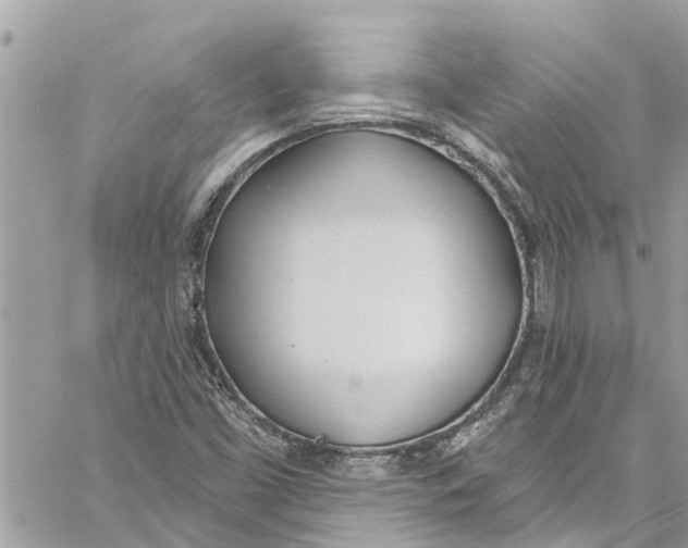 X0000060271453200511181407