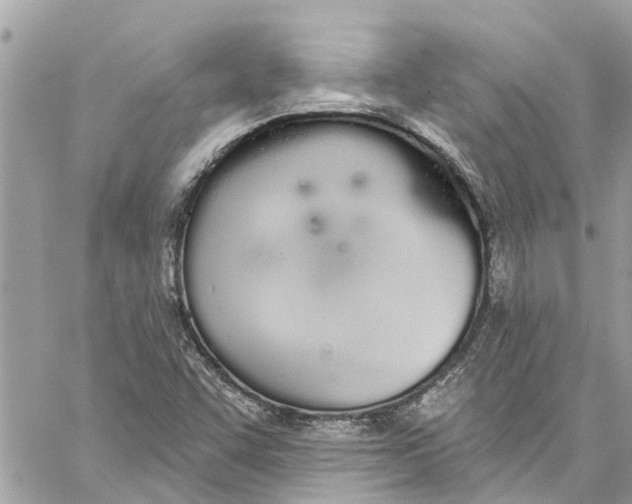 X0000060271455200511181407