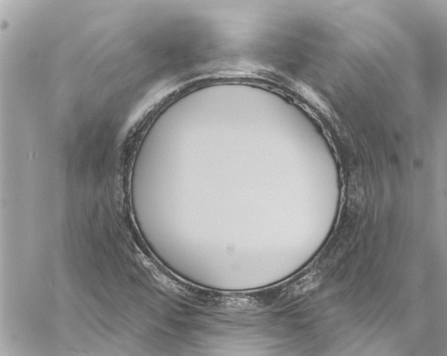 X0000060271456200511181407