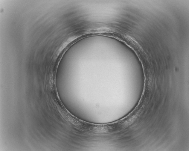 X0000060271457200511181407