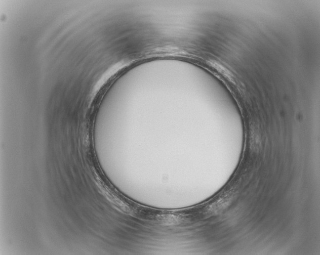 X0000060271458200511181407