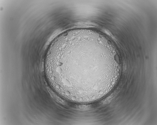 X0000060271459200511181407