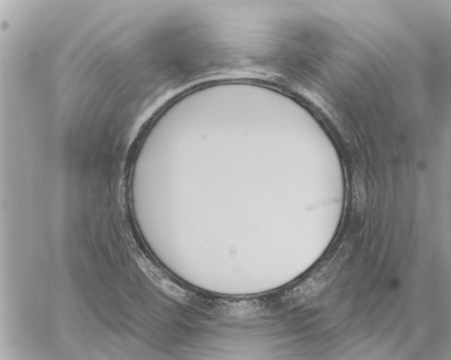 X0000060271460200511181407