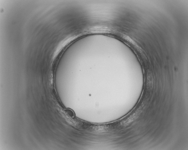 X0000060271461200511181407