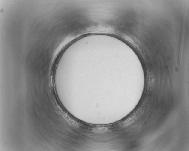 X0000060271462200511181407