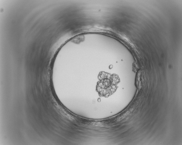 X0000060271463200511181407