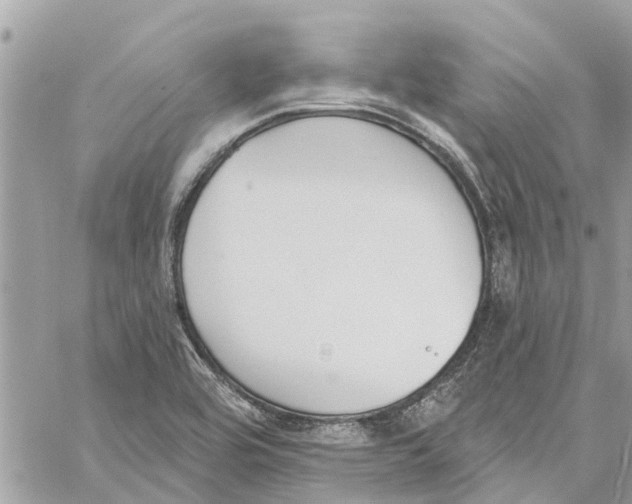 X0000060271464200511181407