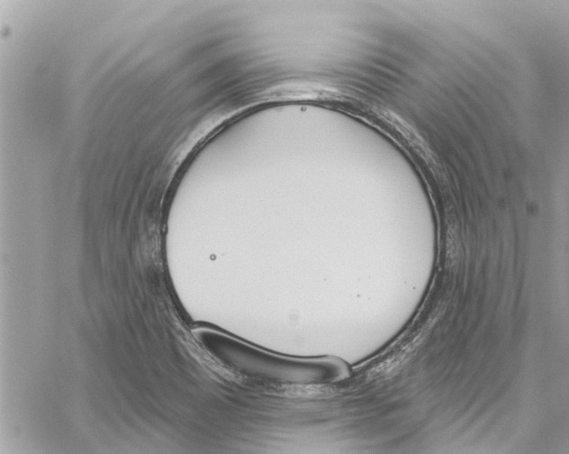 X0000060271465200511181407