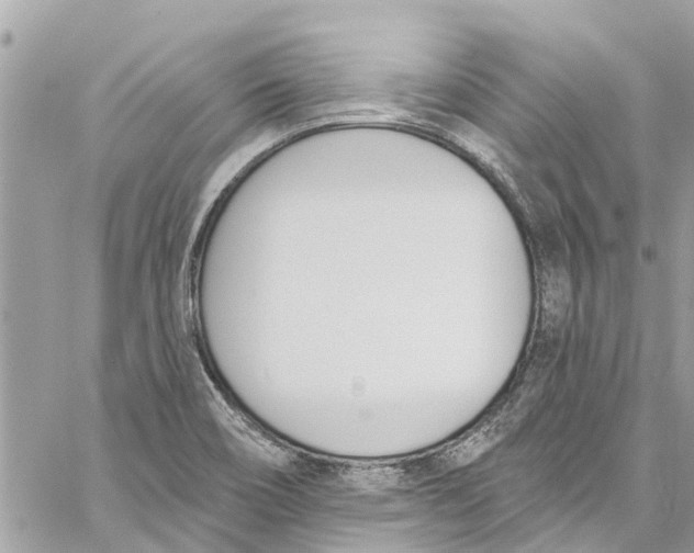 X0000060271466200511181407